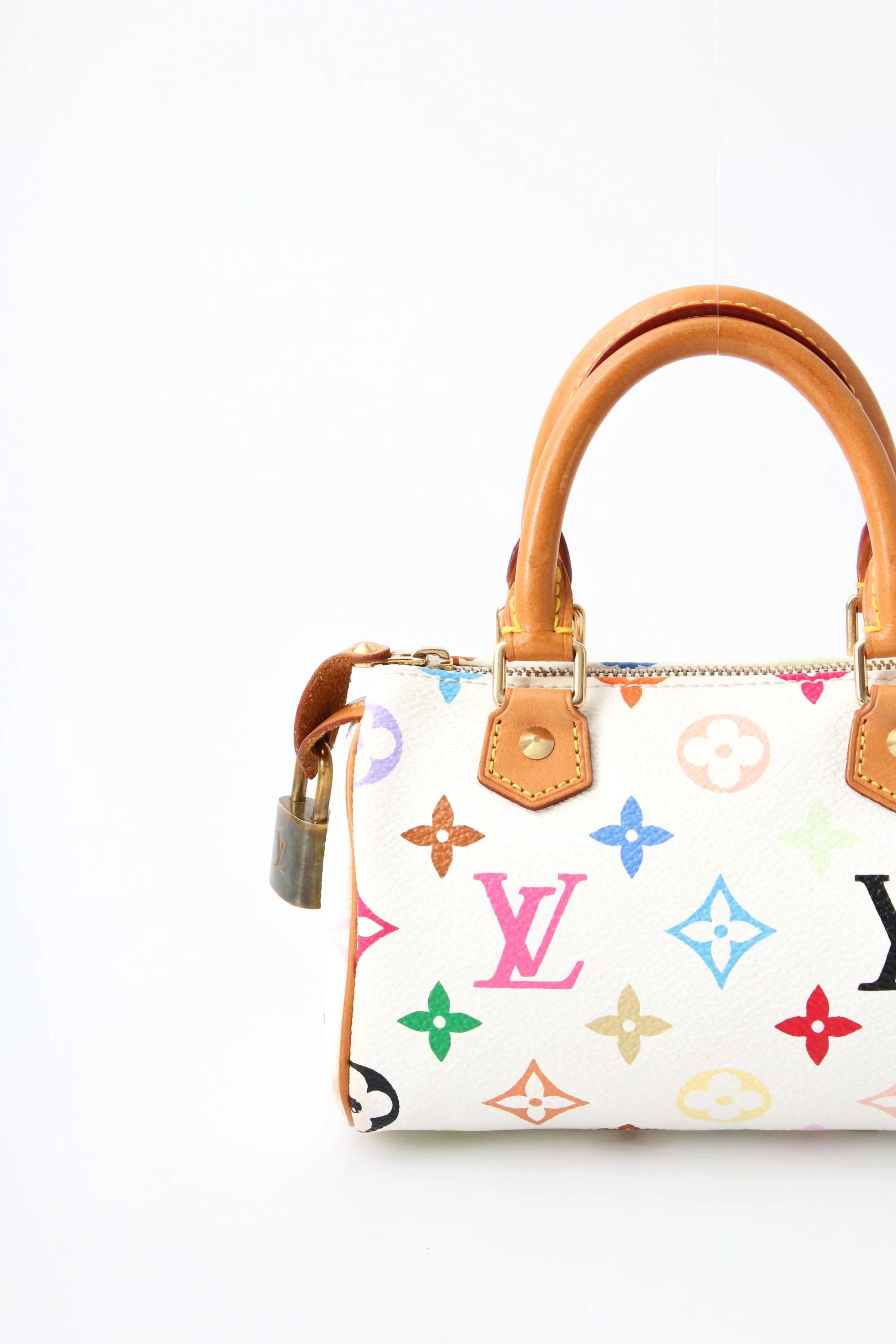 Louis Vuitton Multicolour Nano Speedy