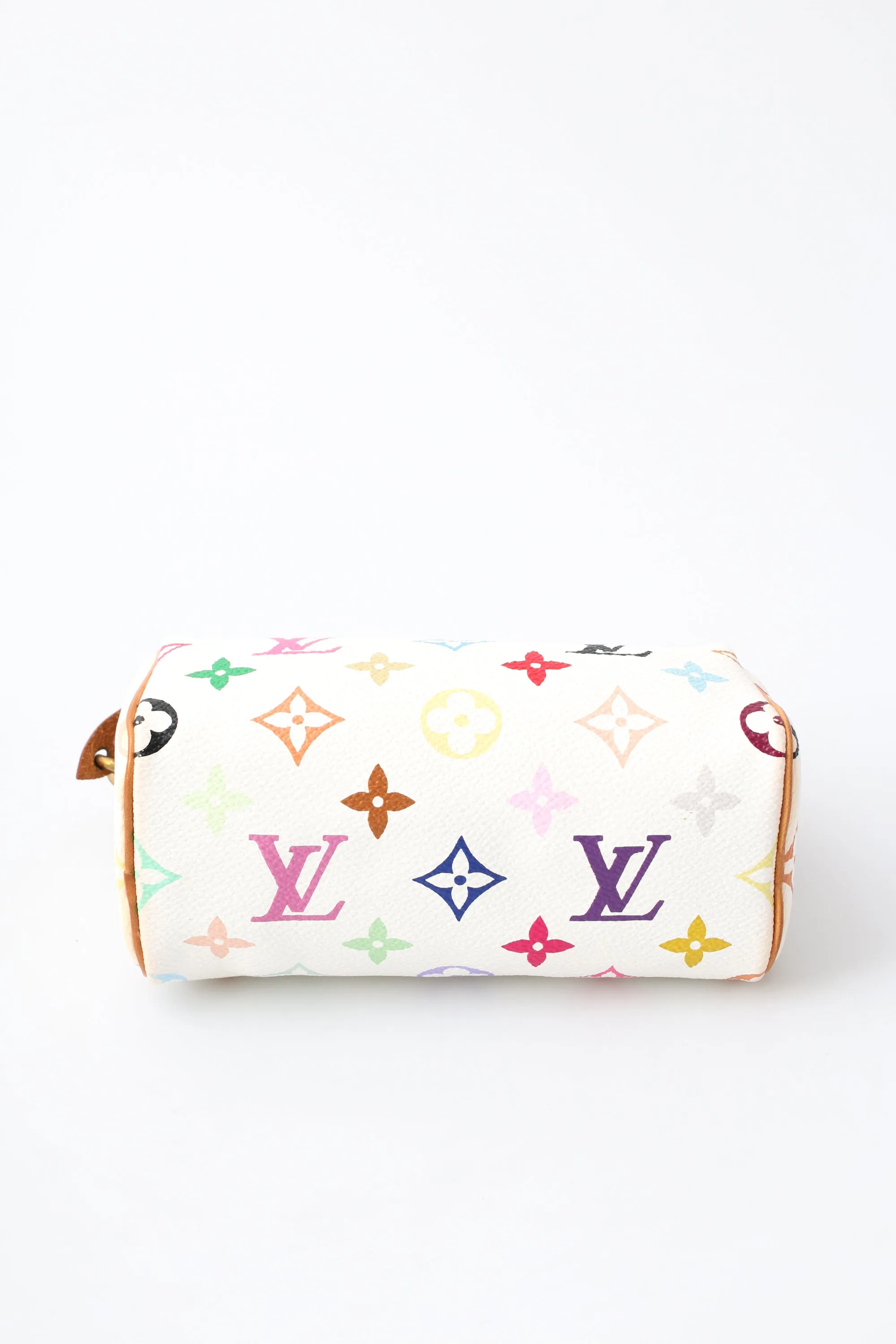 Louis Vuitton Multicolour Nano Speedy