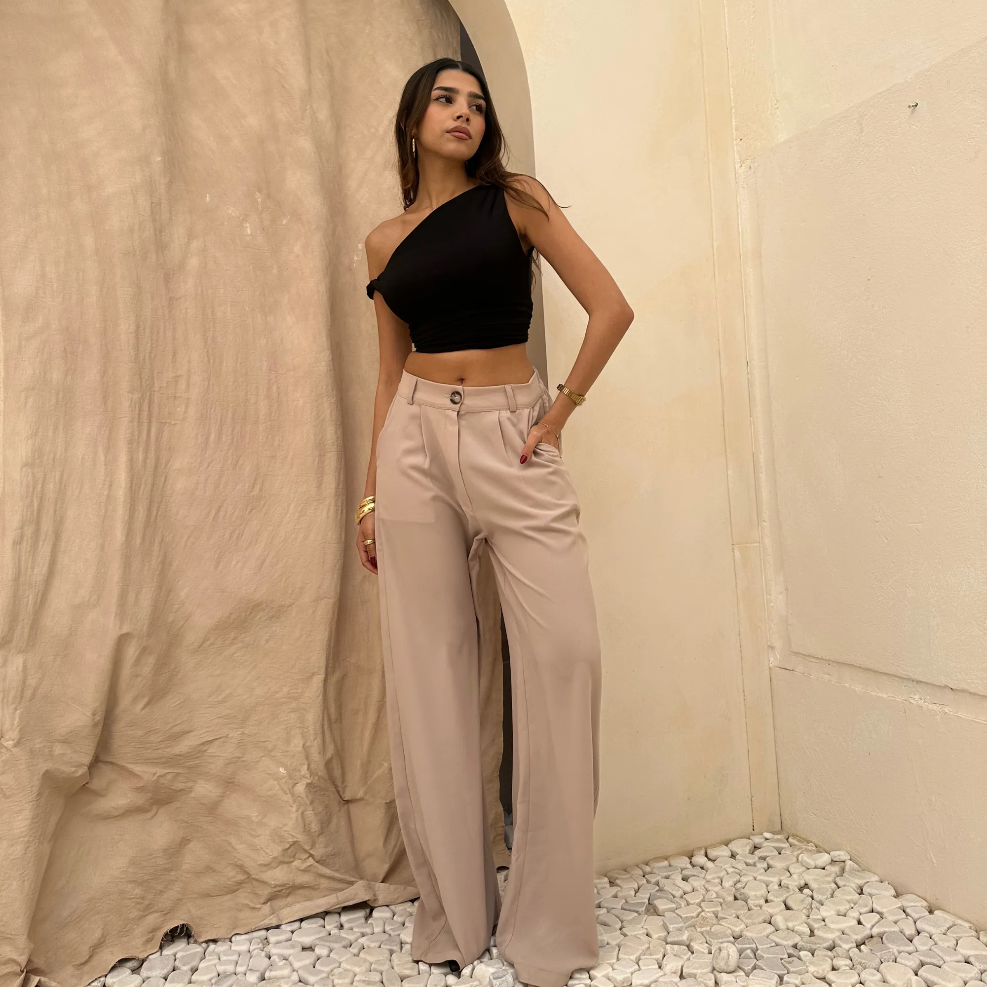 Sleek High waisted  pants